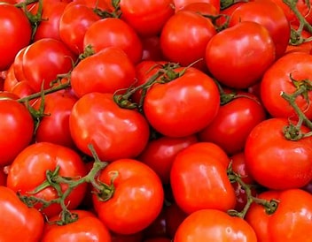 Fresh Tomatoes